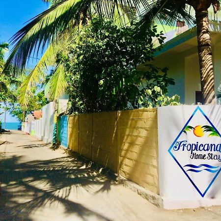 Tropicana Home Stay آروغام المظهر الخارجي الصورة