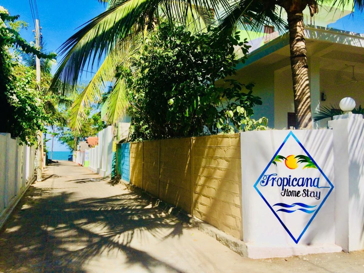 Tropicana Home Stay آروغام المظهر الخارجي الصورة