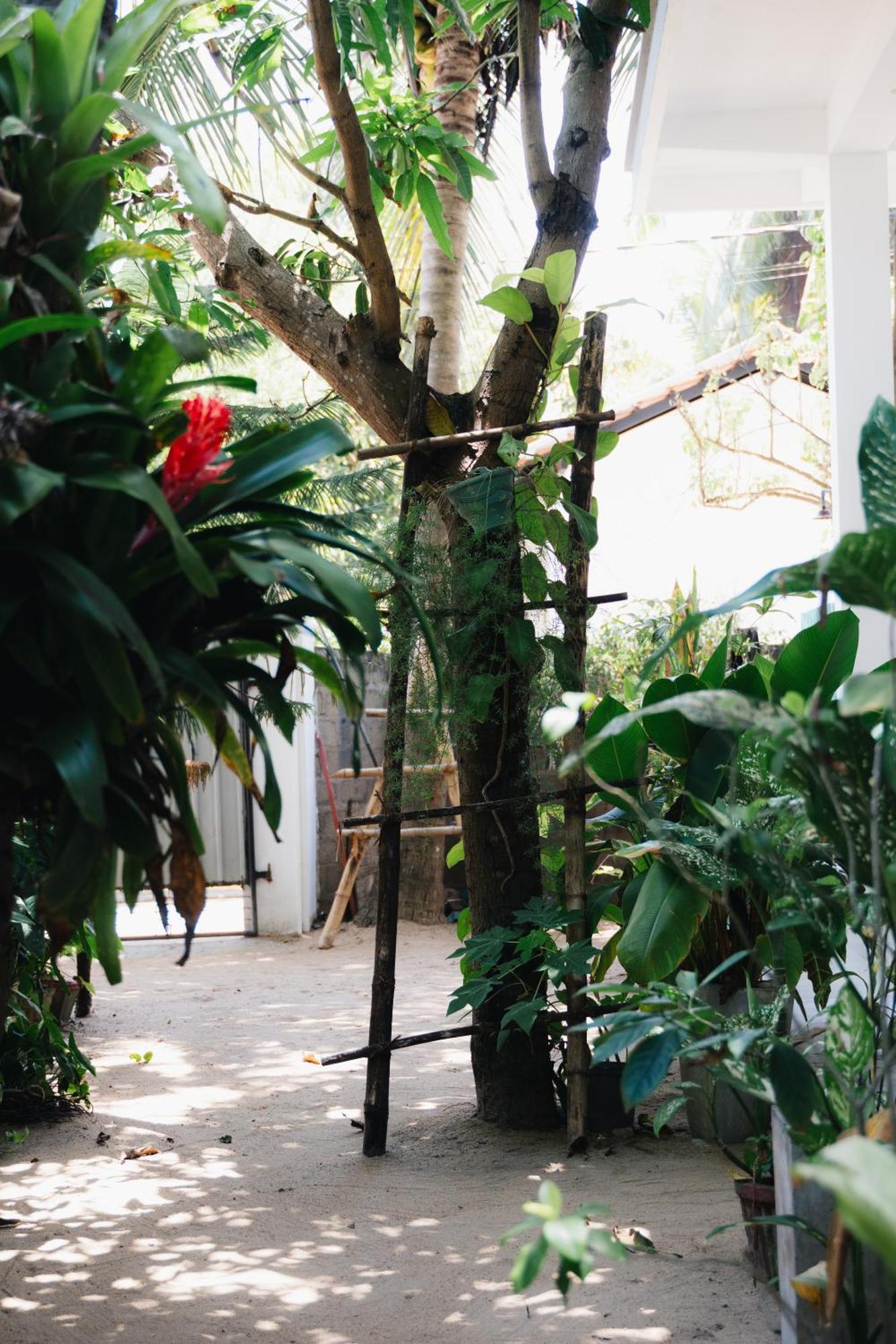 Tropicana Home Stay آروغام المظهر الخارجي الصورة