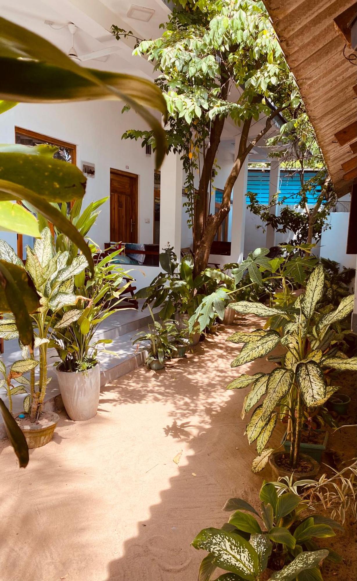 Tropicana Home Stay آروغام المظهر الخارجي الصورة